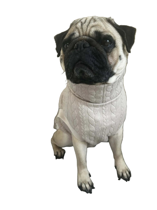 Sweat chien beige