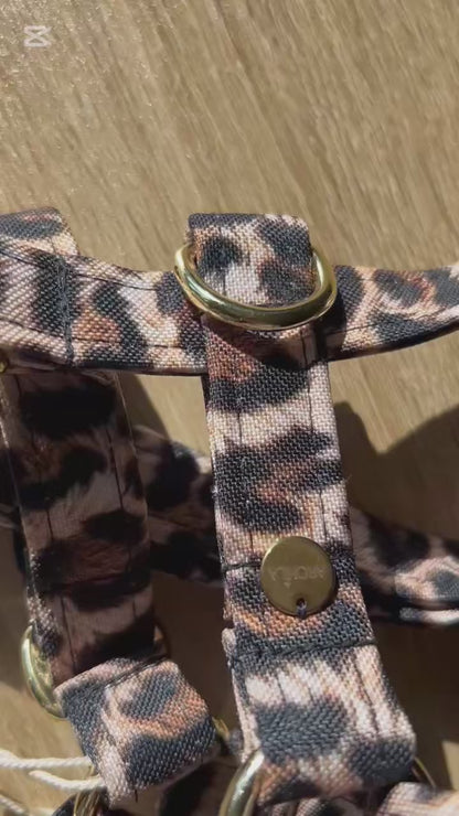 Harnais imperméable léopard chien
